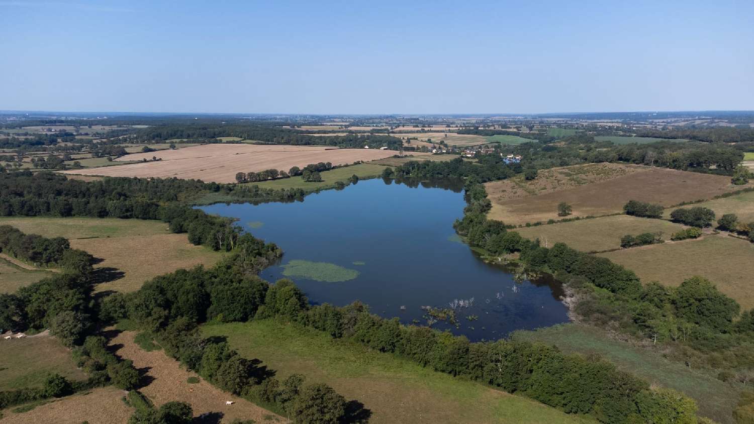  te koop landgoed Saint-Jeanvrin Cher 1