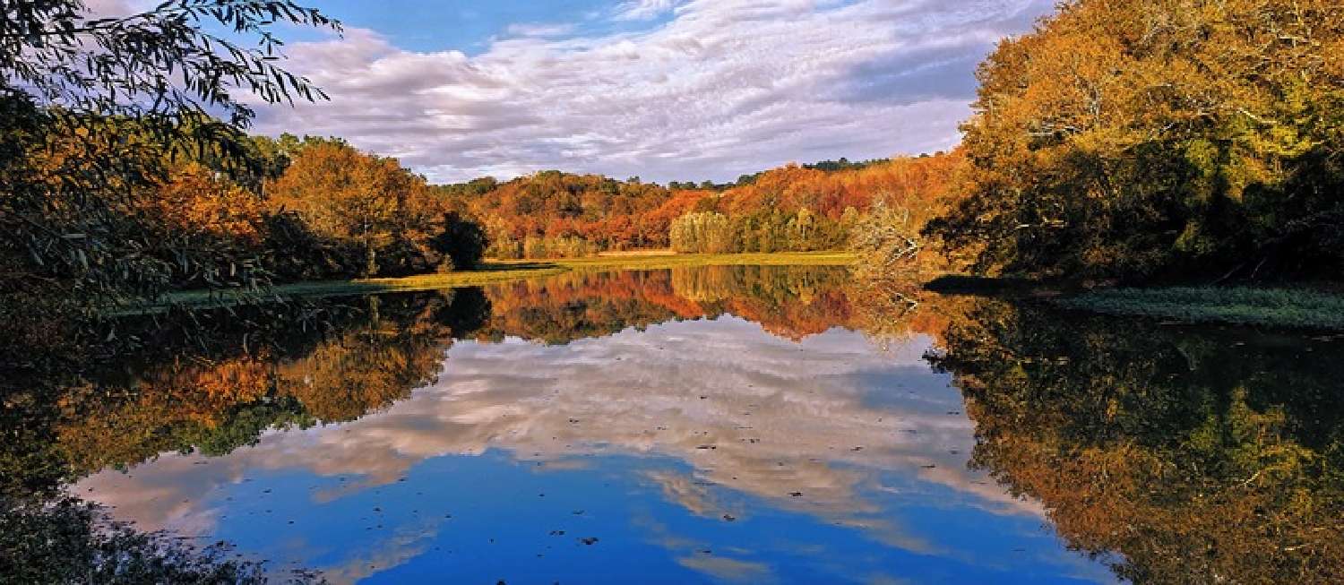  en venta finca rústica Saint-Martin-de-Seignanx Landes 3