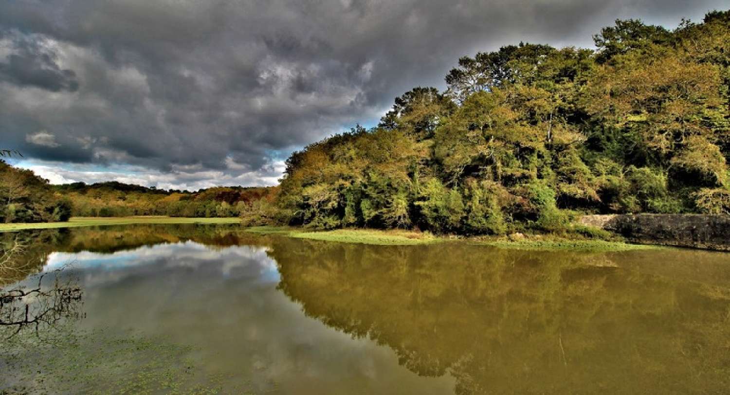  en venta finca rústica Saint-Martin-de-Seignanx Landes 5