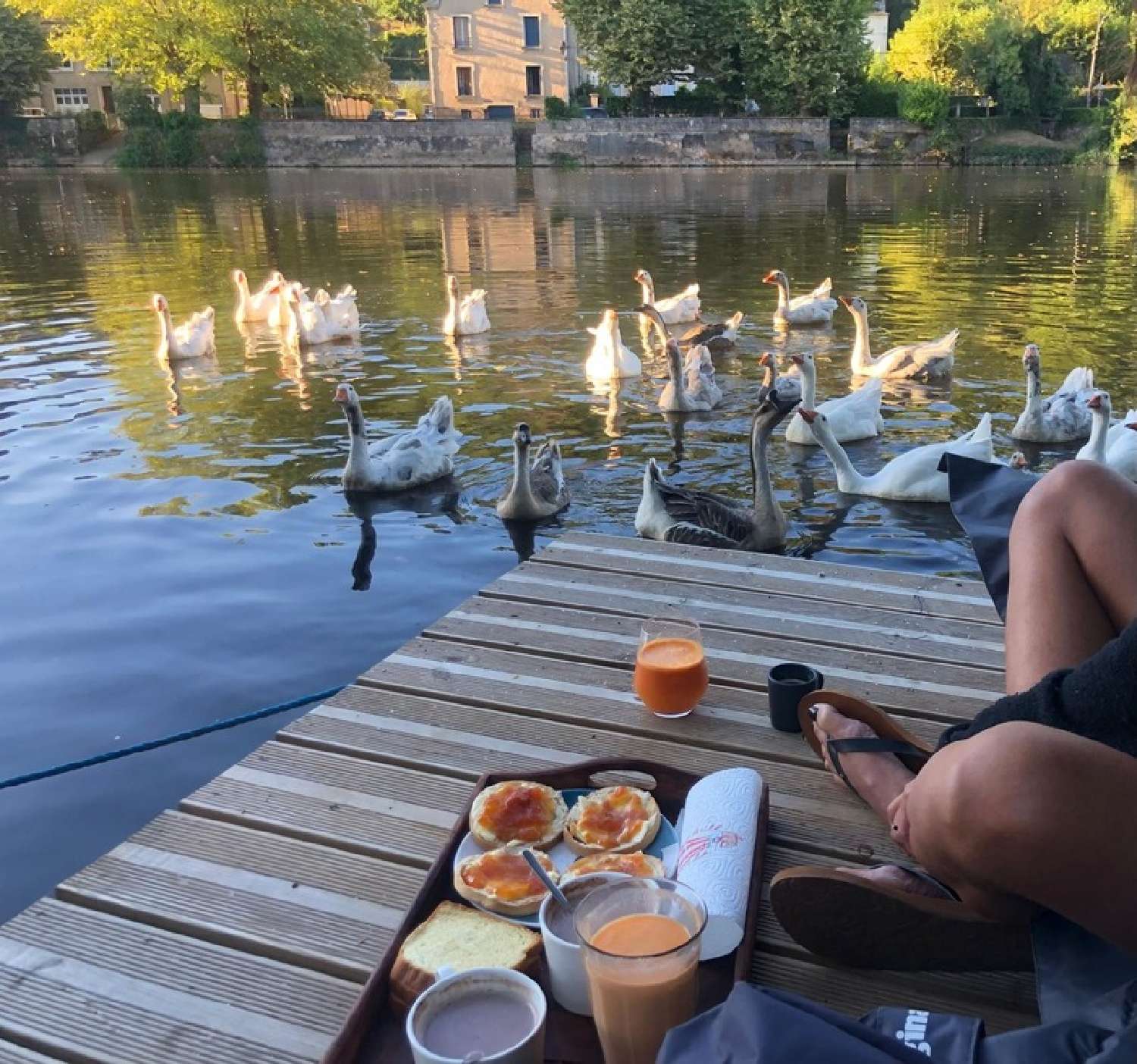  kaufen Landgut Terrasson-Lavilledieu Dordogne 4
