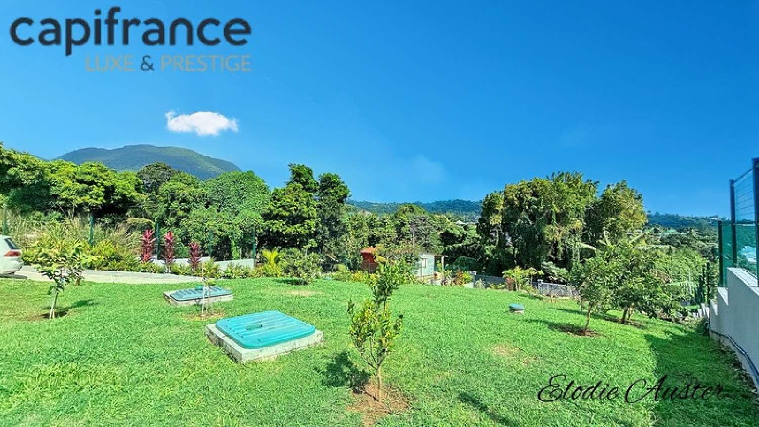 te koop landgoed Trois-Rivières Guadeloupe 5