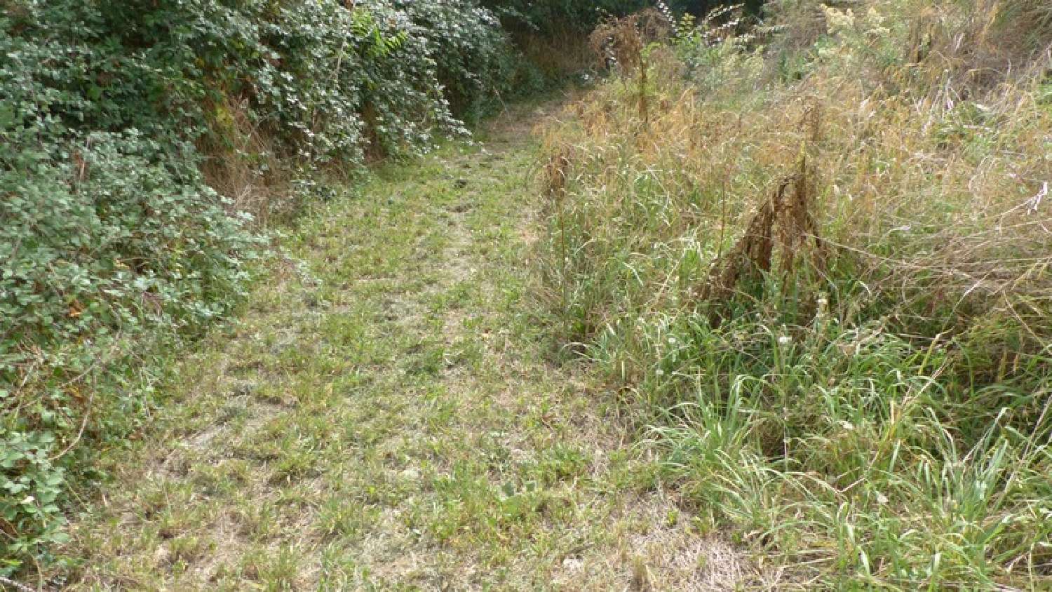 te koop boerderij Availles-Thouarsais Deux-Sèvres 2