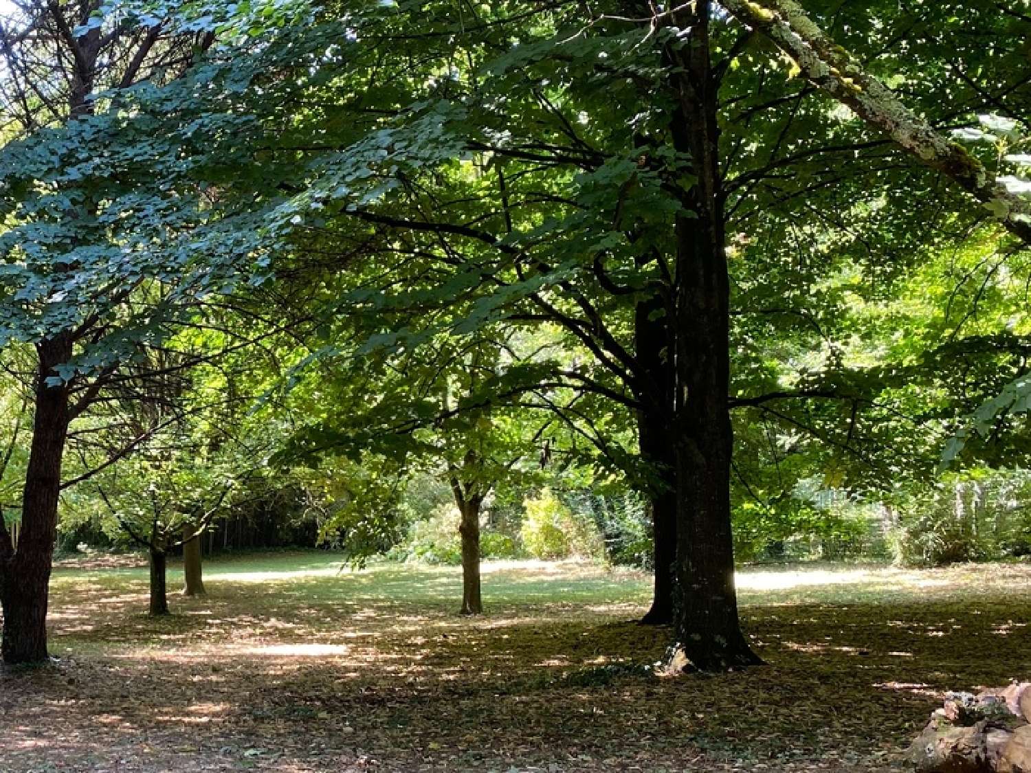 kaufen Bauernhof Bagnols-sur-Cèze Gard 2