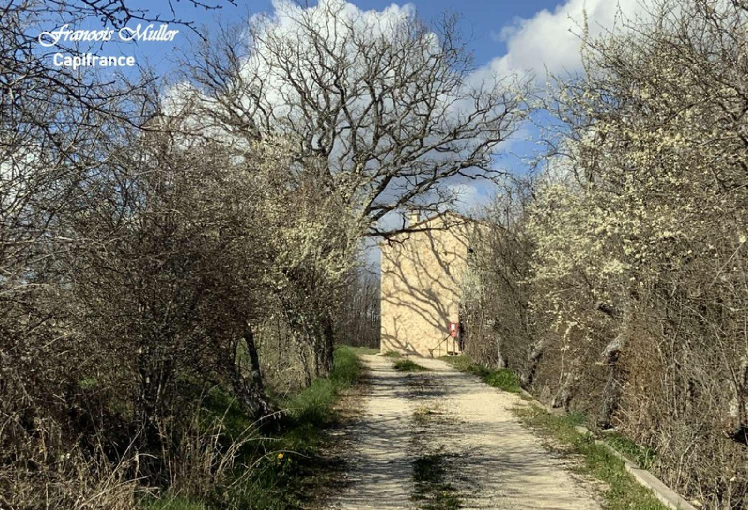  for sale farm Banon Alpes-de-Haute-Provence 3