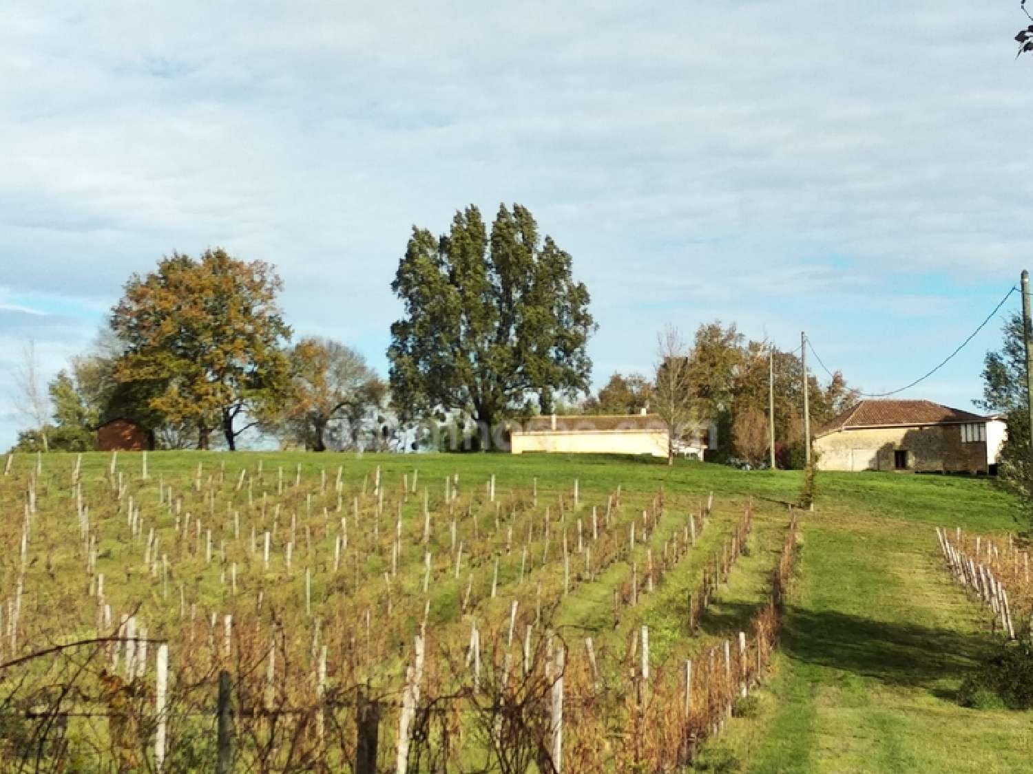  te koop boerderij Castelnau-d'Auzan Gers 1
