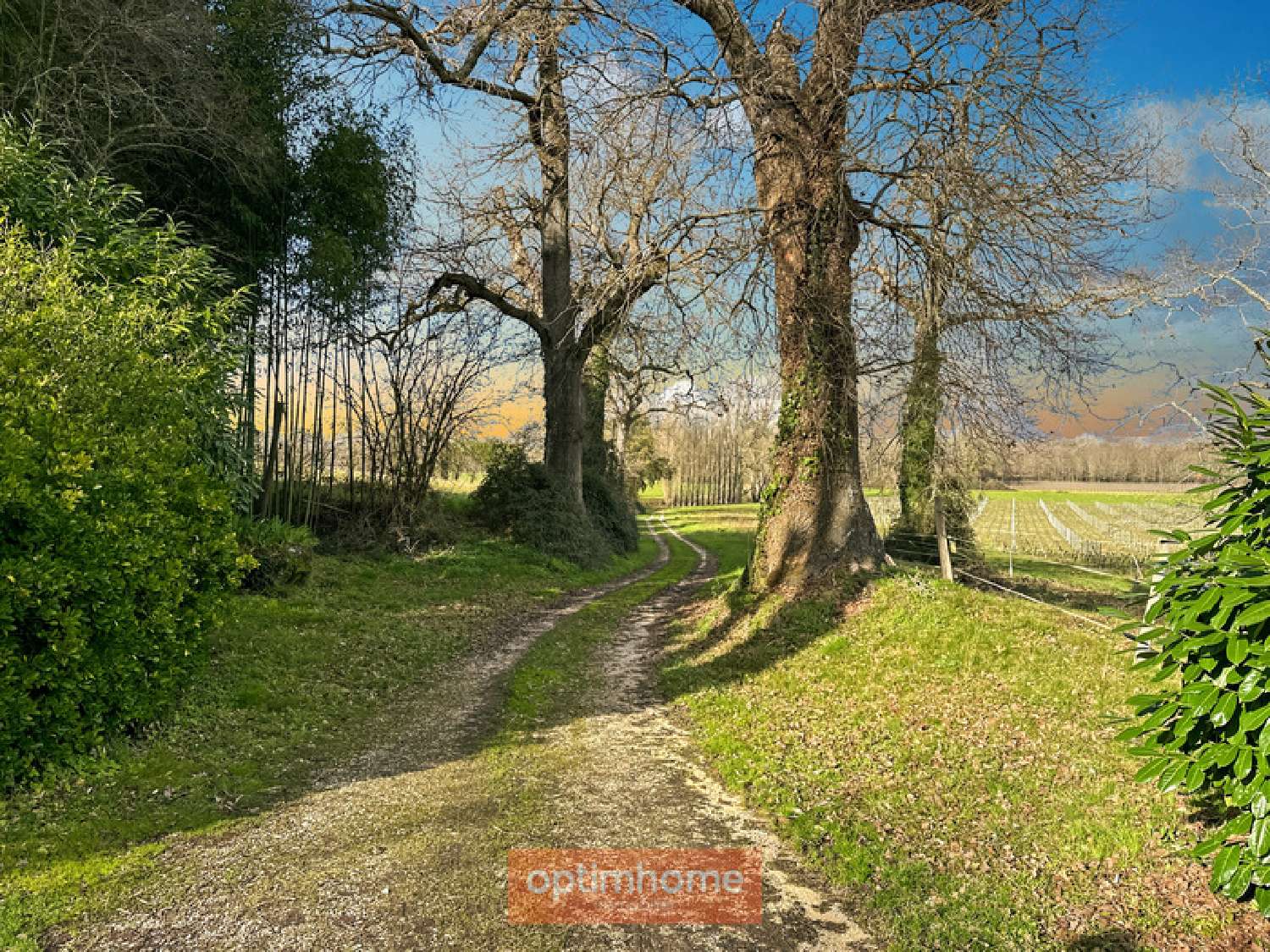  te koop boerderij Castelnau-d'Auzan Gers 7