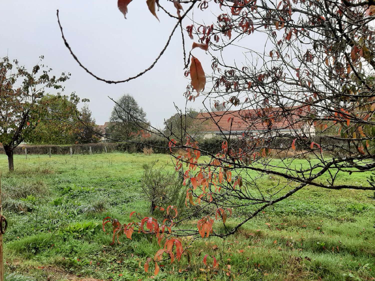 kaufen Bauernhof Clessy Saône-et-Loire 6