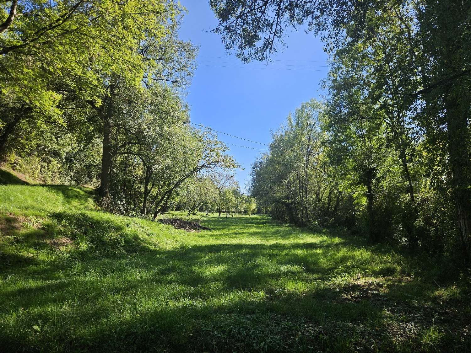 kaufen Bauernhof Condom Gers 3