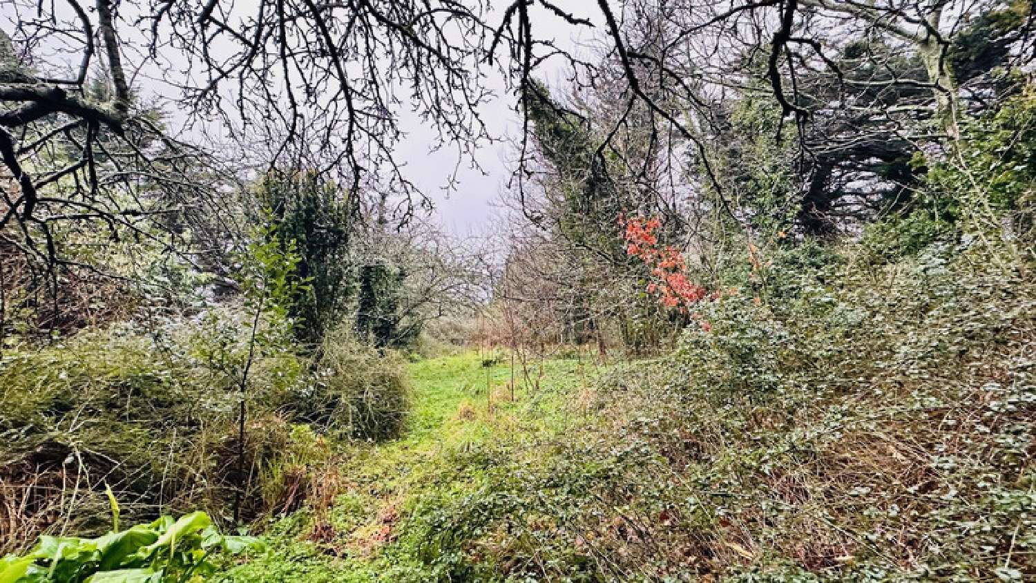  te koop boerderij Crozon Finistère 8