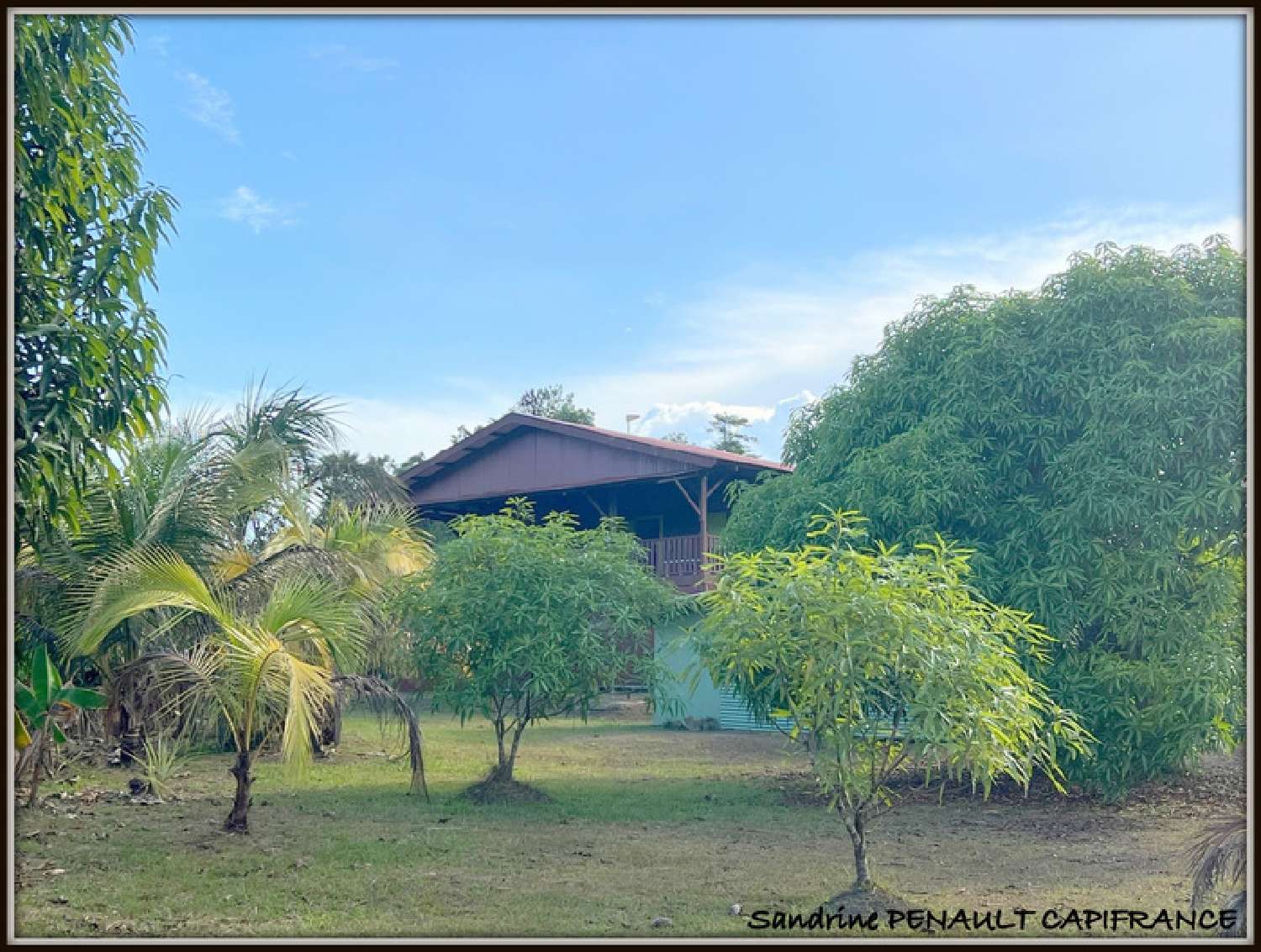  à vendre ferme Kourou Guyane 4