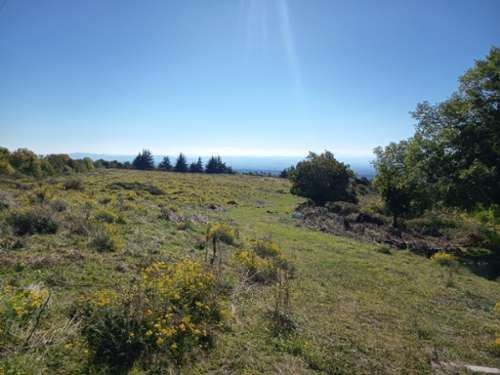  for sale farm La Tourette-Cabardès Aude 2