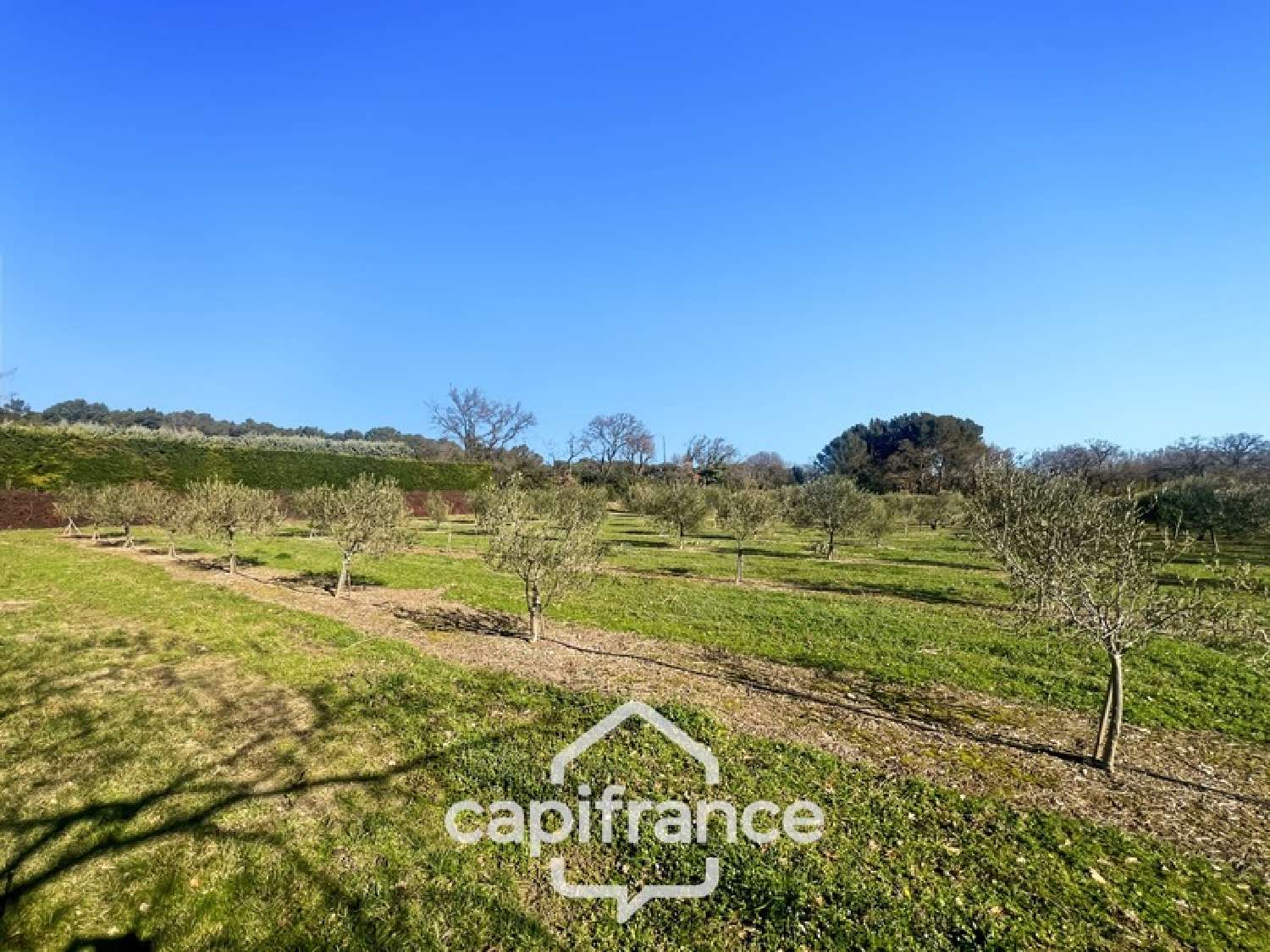  te koop boerderij Lambesc Bouches-du-Rhône 5