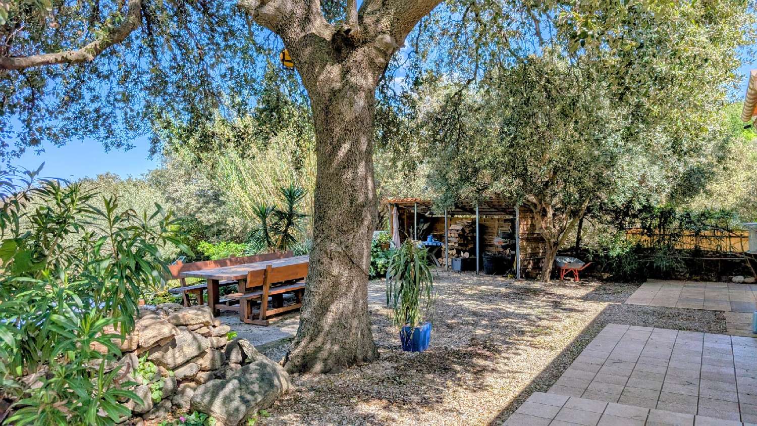 en venta casa rústica Laroque-des-Albères Pirineo Oriental 3