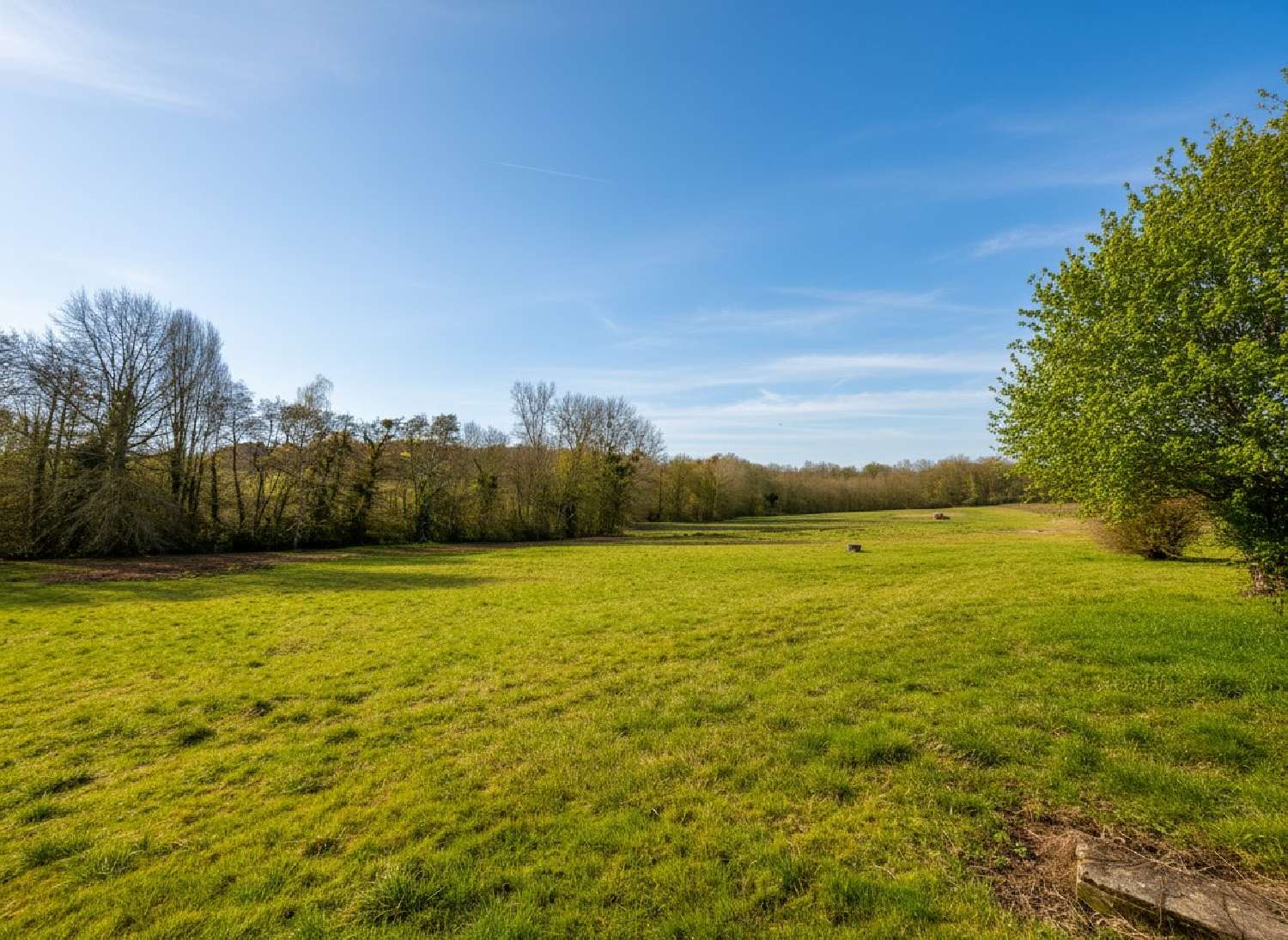  for sale farm Pellegrue Gironde 6