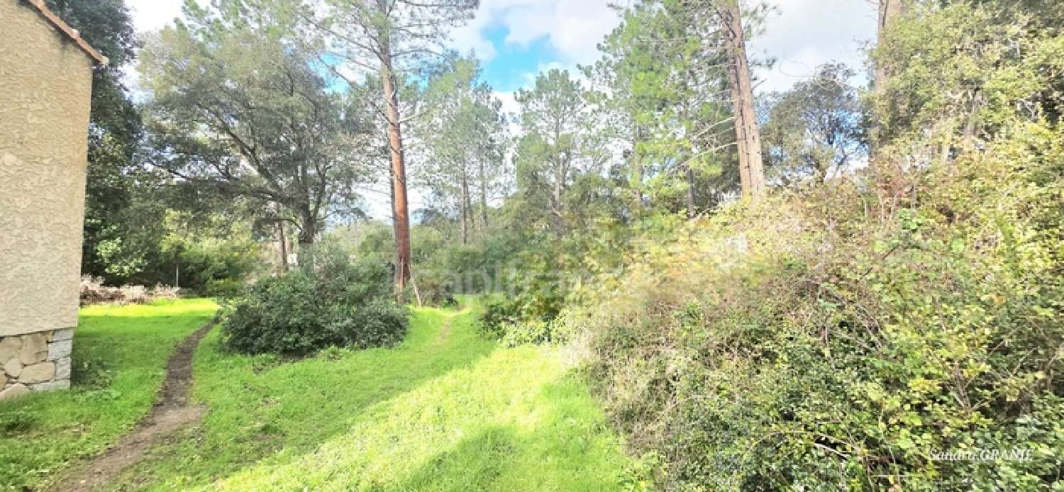  for sale farm Porto-Vecchio Corse-du-Sud 2