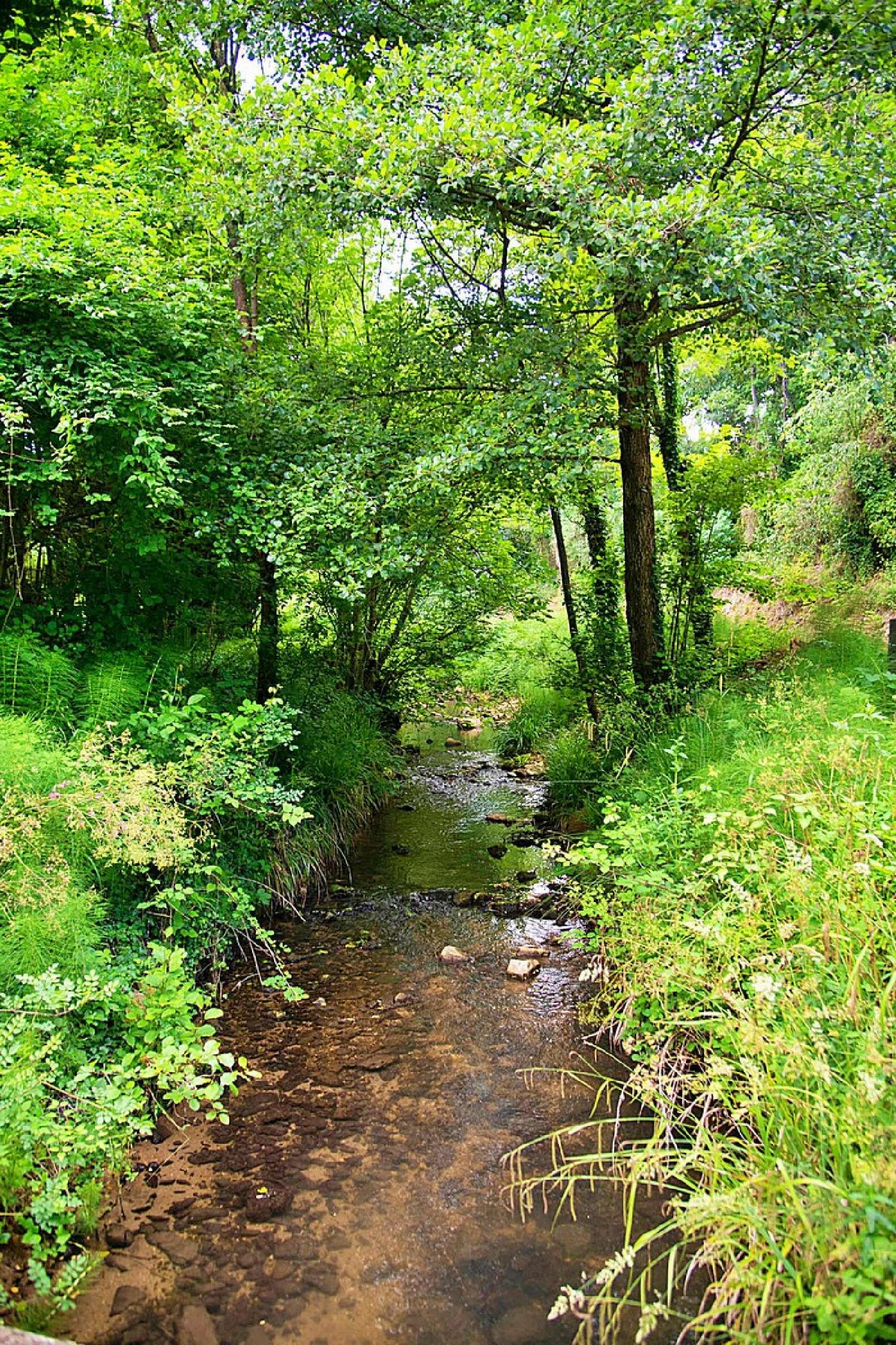 te koop boerderij Sabran Gard 7