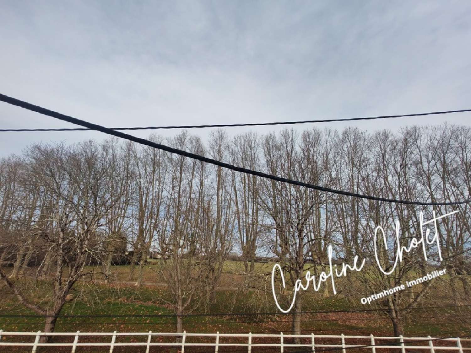  te koop boerderij Sainte-Terre Gironde 4