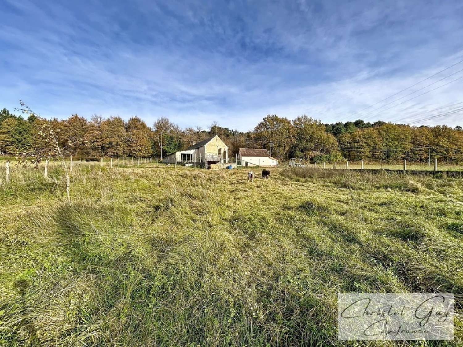  te koop boerderij Vaas Sarthe 2