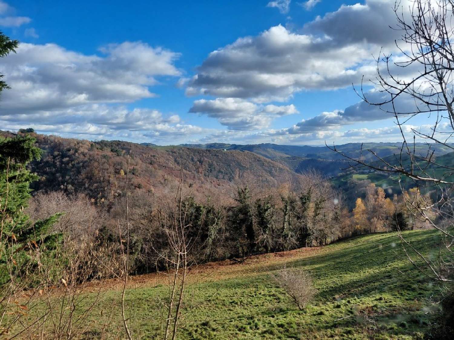 à vendre ferme Vieillevie Cantal 2