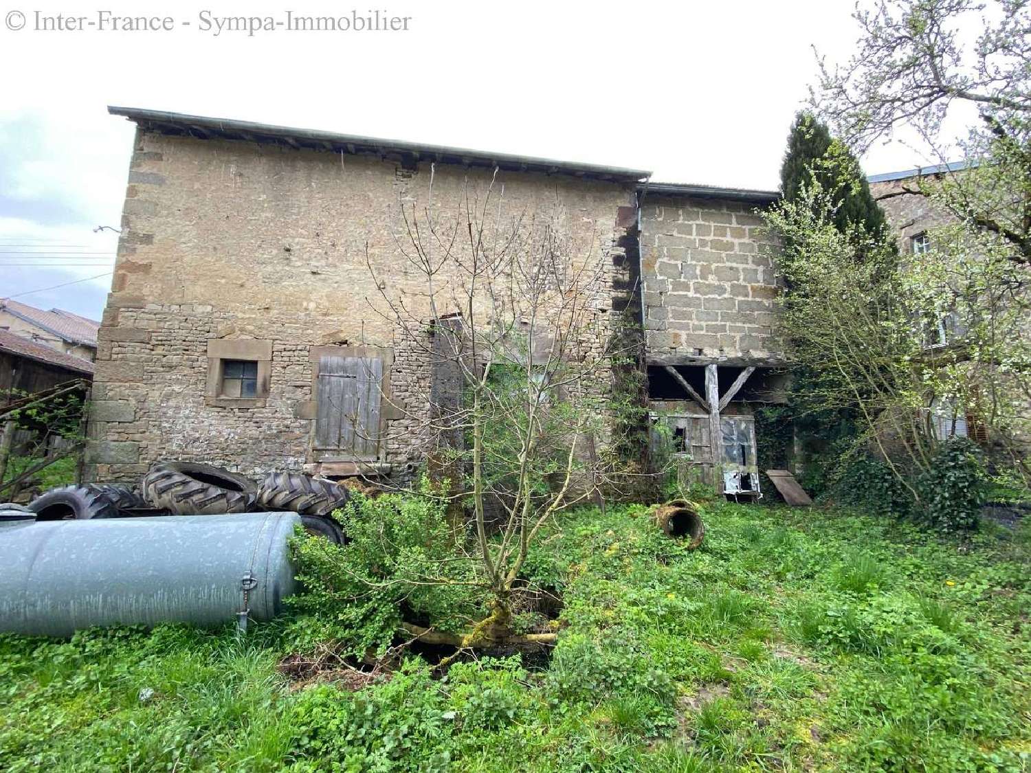  kaufen Haus Ainvelle Vogesen 1