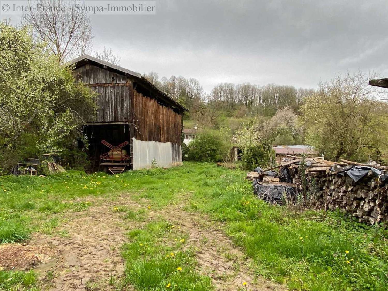  kaufen Haus Ainvelle Vogesen 3