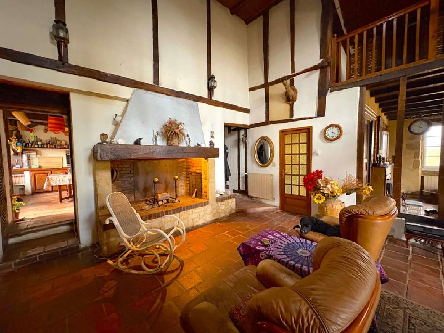 for sale house Aire-sur-l'Adour Landes 5