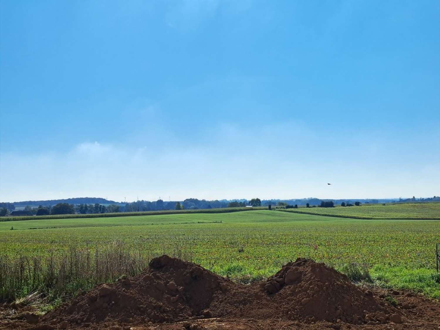  à vendre maison Arçonnay Sarthe 8