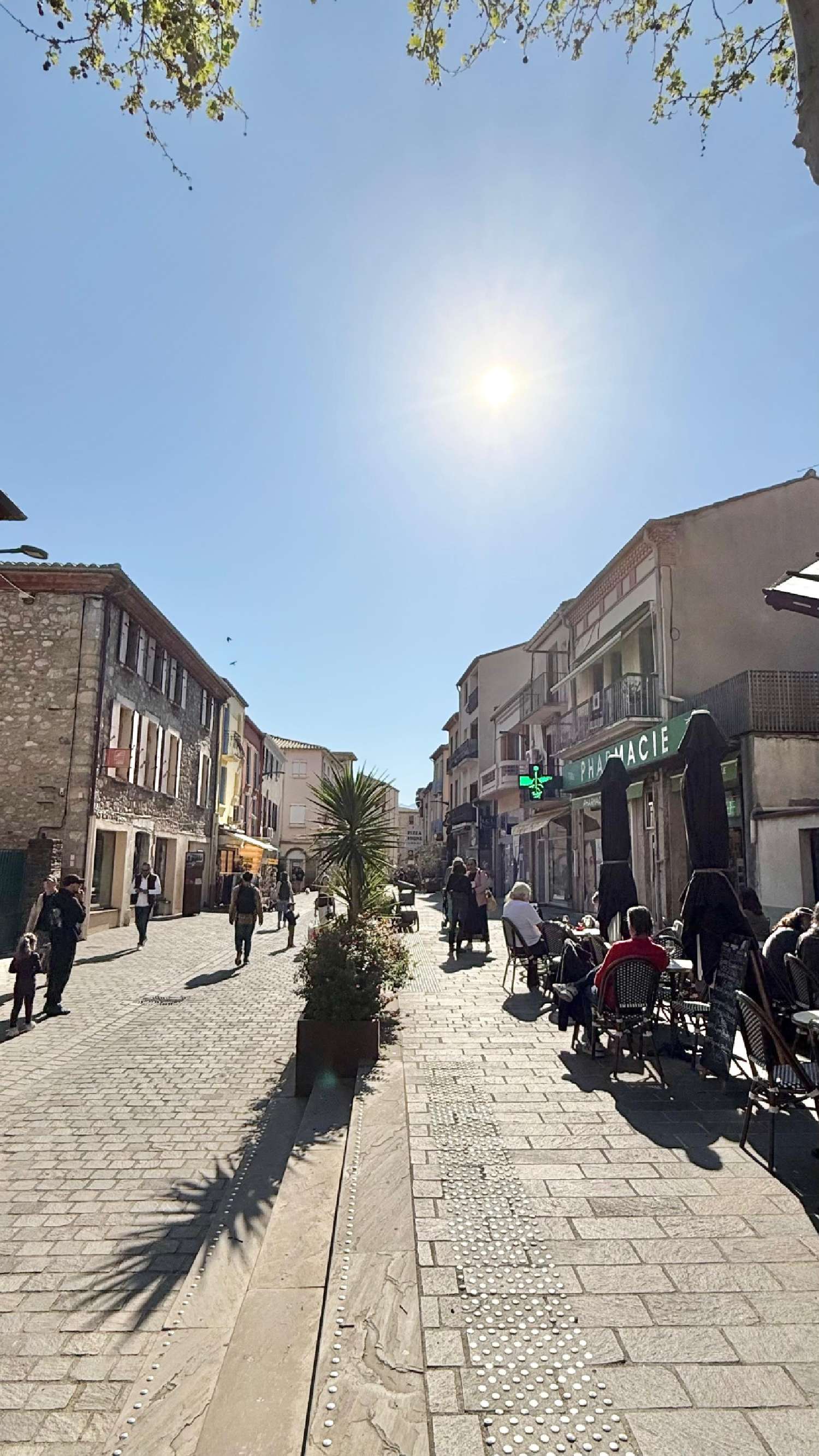  te koop huis Argelès-sur-Mer Pyrénées-Orientales 1