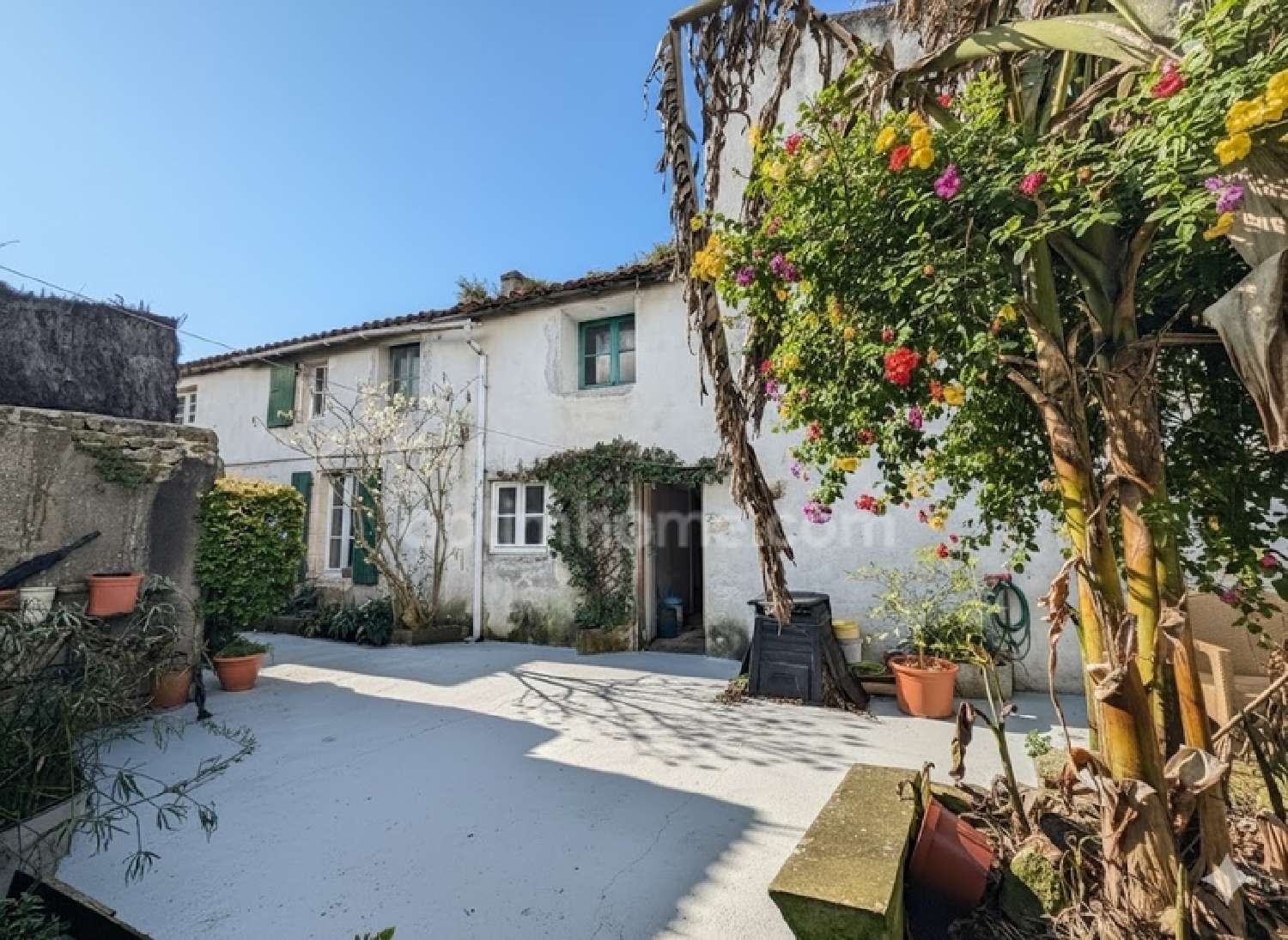  te koop huis Ars-en-Ré Charente-Maritime 2