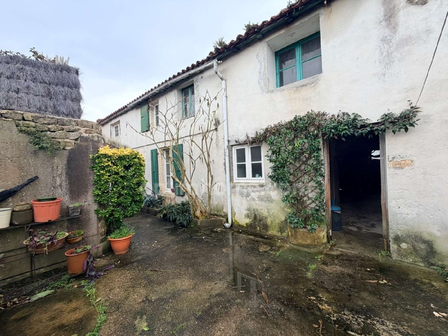  te koop huis Ars-en-Ré Charente-Maritime 5