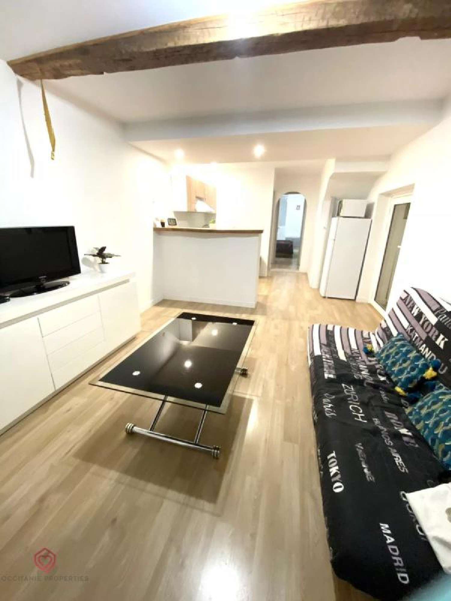  for sale house Artigat Ariège 1