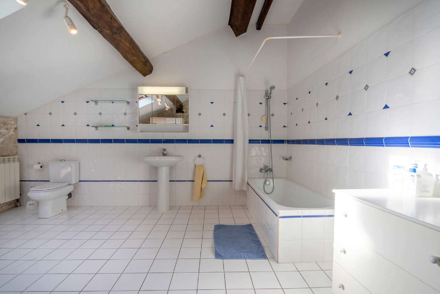  for sale house Auch Gers 8