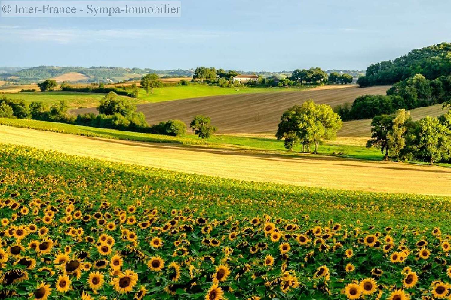  te koop huis Auch Gers 4