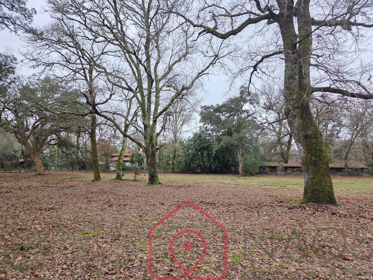  te koop huis Aureilhan Landes 5