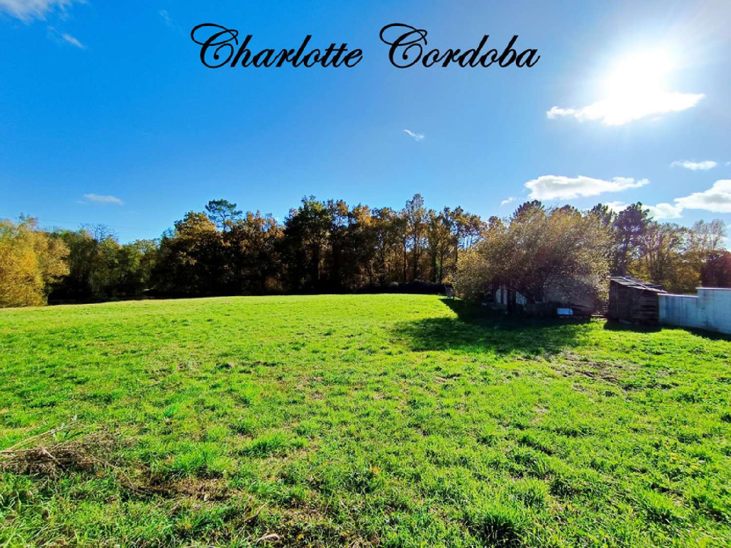  for sale house Barbaste Lot-et-Garonne 4