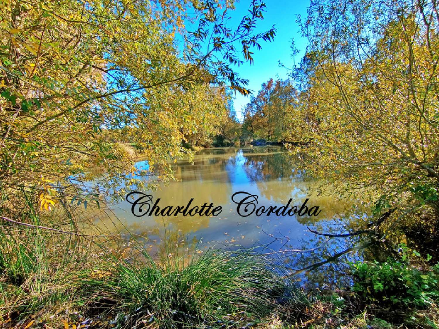  for sale house Barbaste Lot-et-Garonne 5