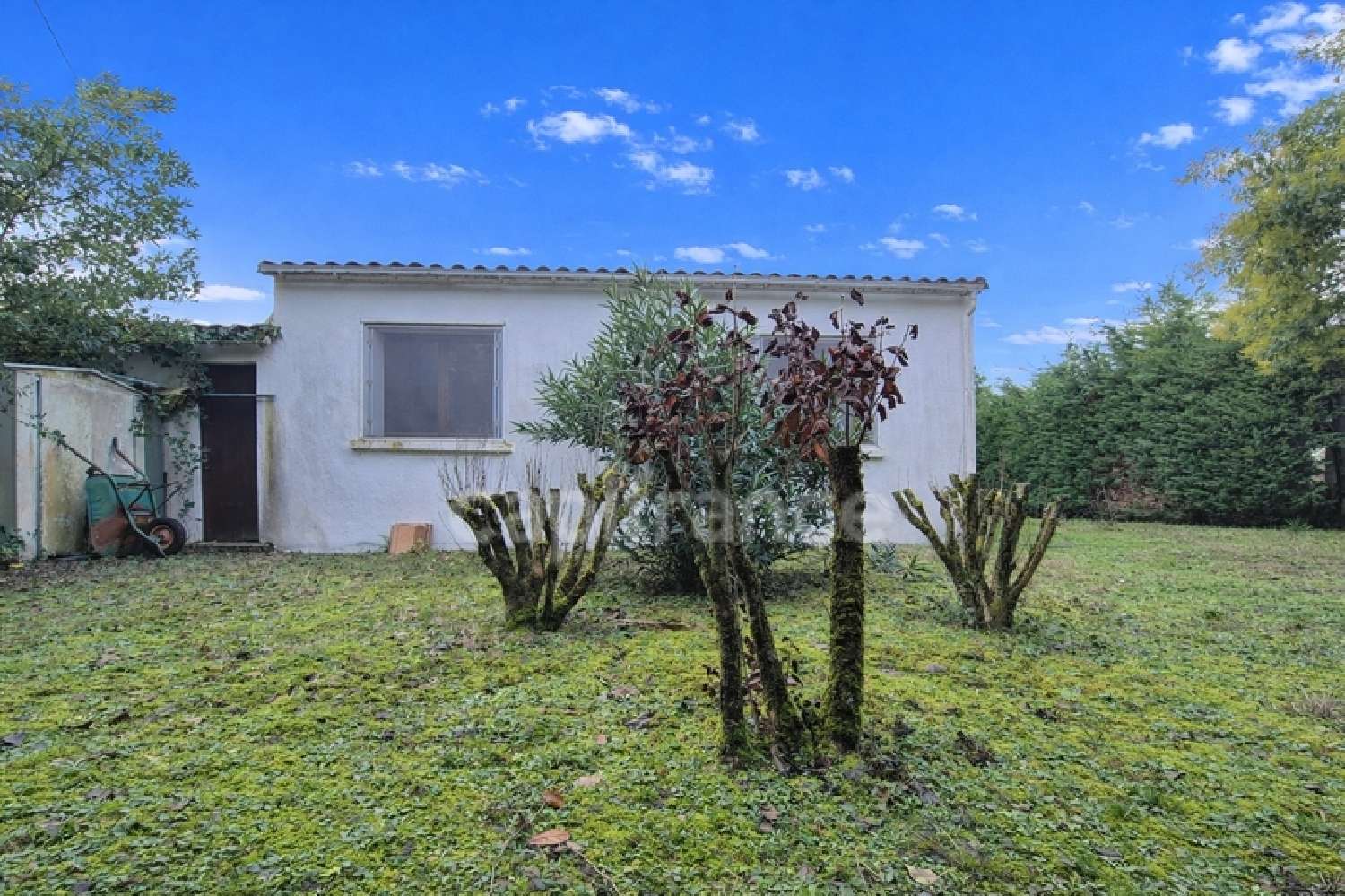  à vendre maison Barzan Charente-Maritime 4