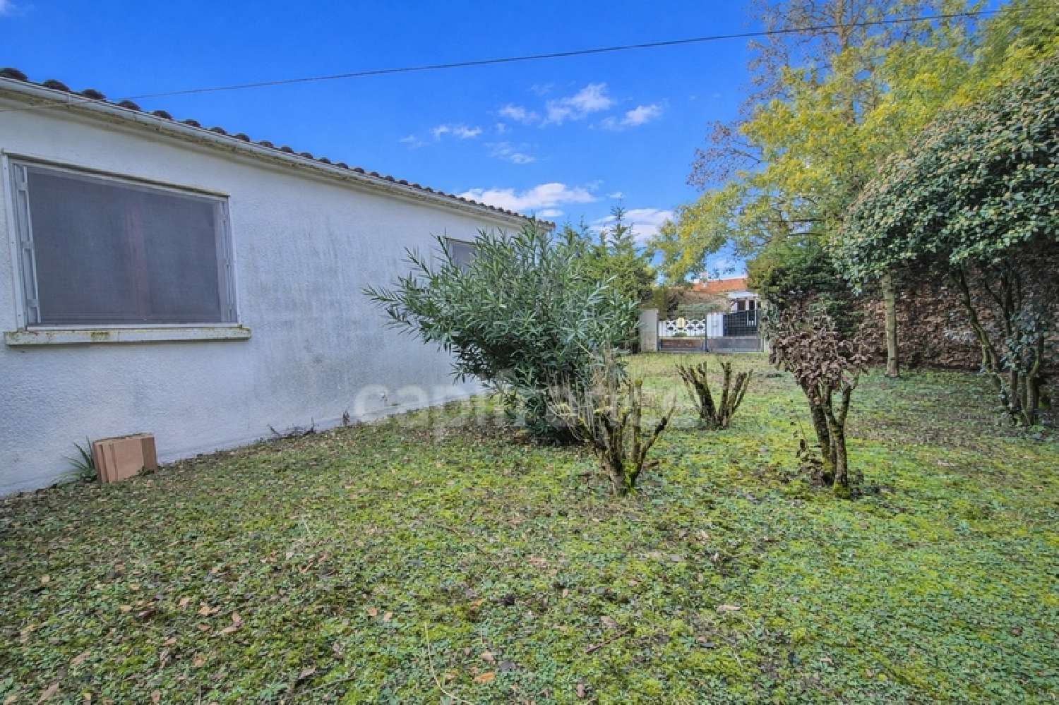  à vendre maison Barzan Charente-Maritime 5