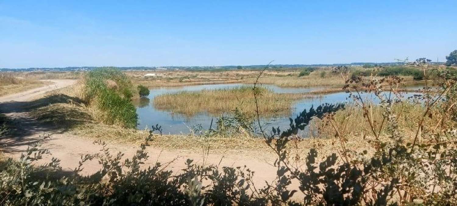 te koop huis Batz-sur-Mer Loire-Atlantique 7