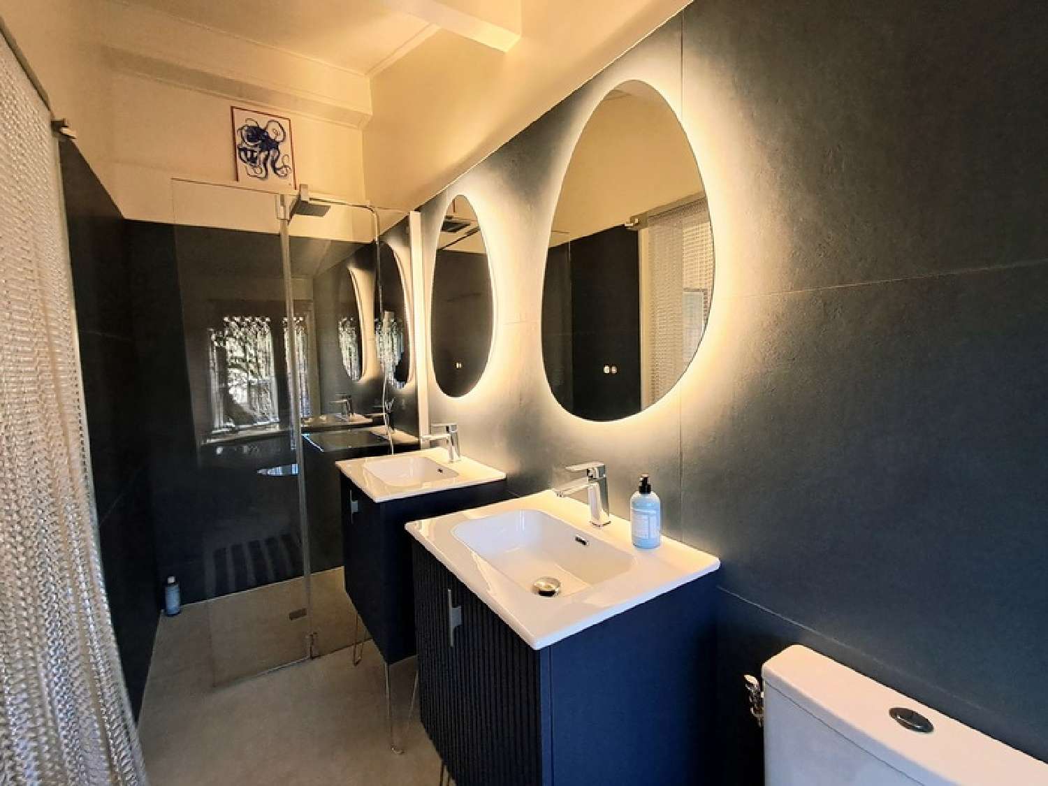  for sale house Bayonne Pyrénées-Atlantiques 8