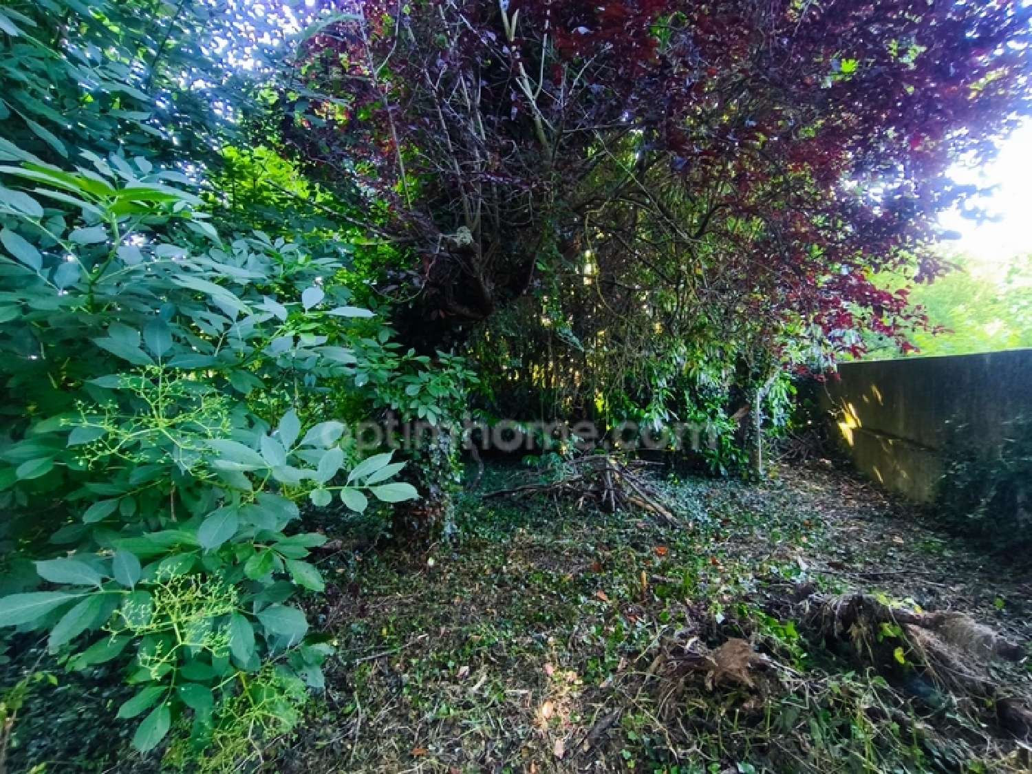  te koop huis Bessé-sur-Braye Sarthe 4