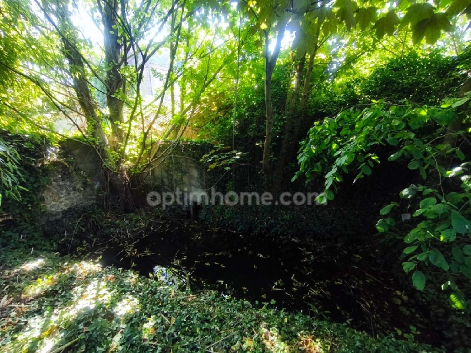  te koop huis Bessé-sur-Braye Sarthe 5