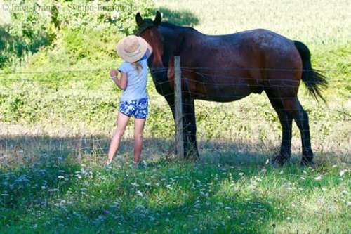 Biarritz Pyrénées-Atlantiques house foto 7252678