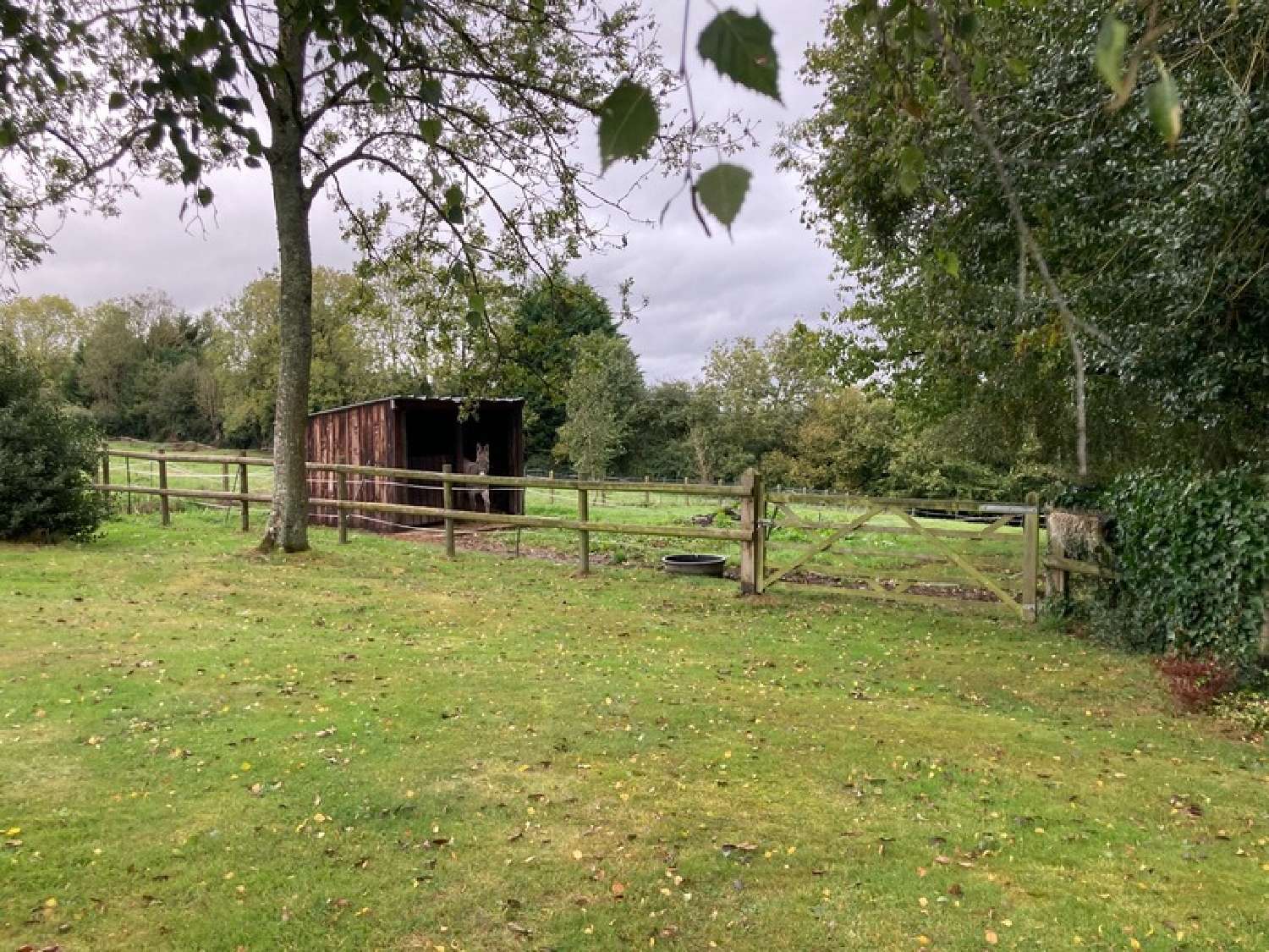  te koop huis Bonneville-la-Louvet Calvados 5