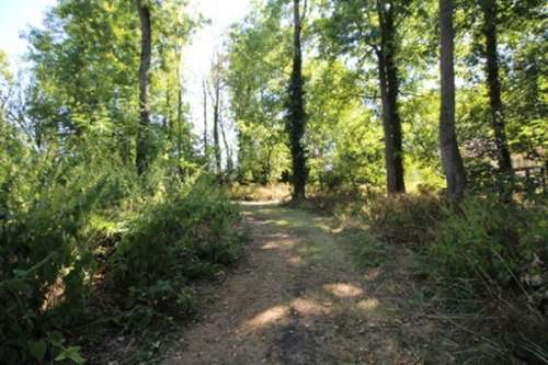  kaufen Haus Boulay-Moselle Moselle 3