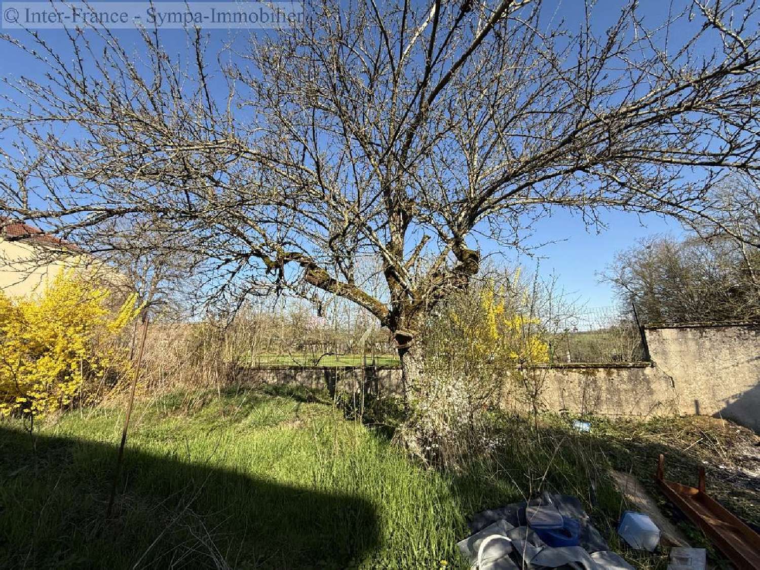  à vendre maison Bourbonne-les-Bains Haute-Marne 3