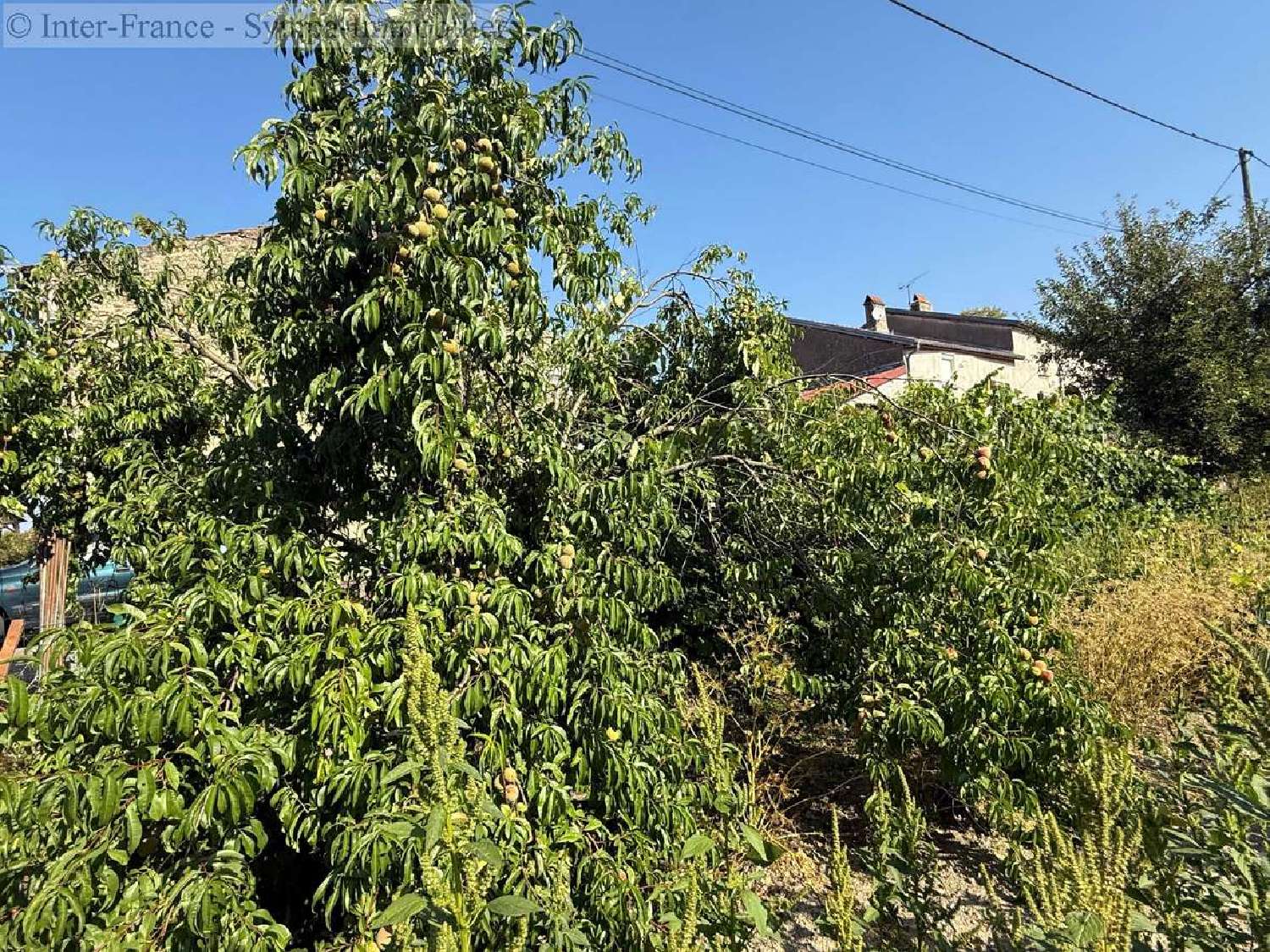  à vendre maison Bourbonne-les-Bains Haute-Marne 4