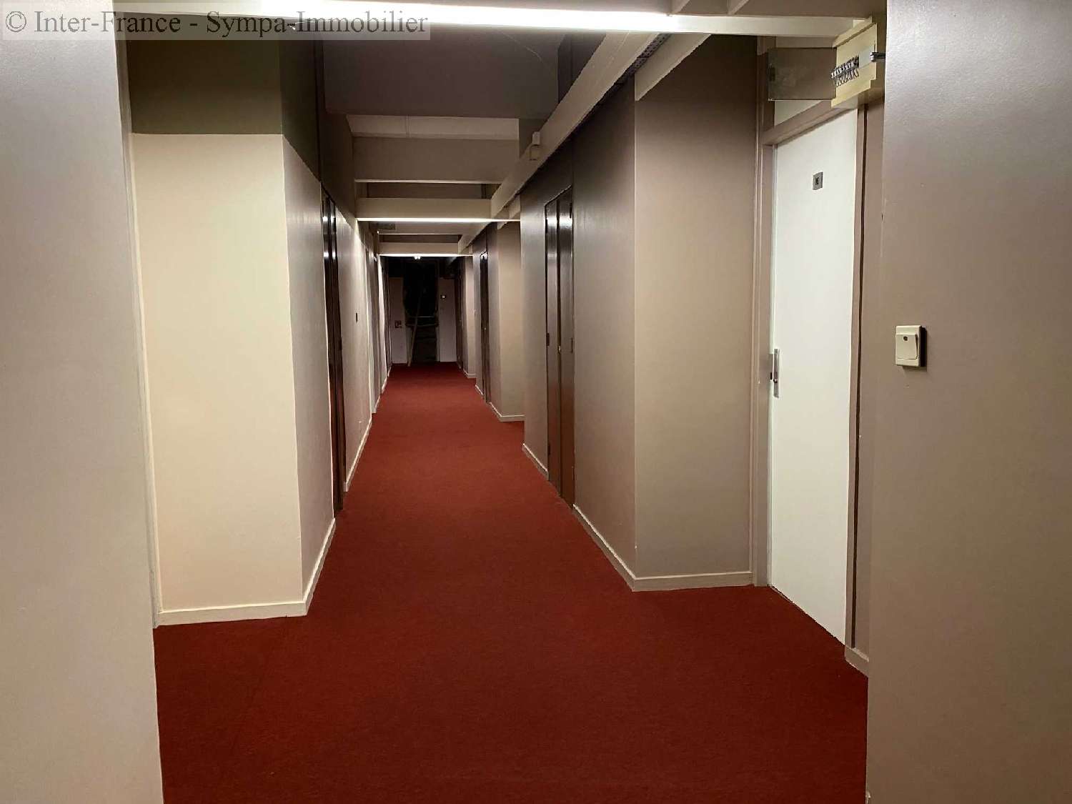  à vendre maison Bourbonne-les-Bains Haute-Marne 8