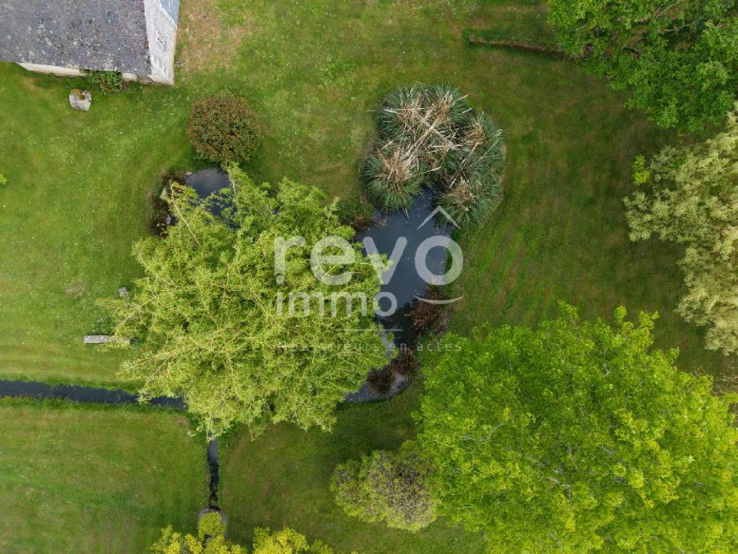  kaufen Haus Brion Maine-et-Loire 6