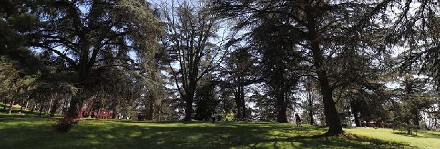  à vendre maison Bron Rhône 4